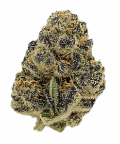 Jelly Zonuts, çilek aroması ve yüksek THC içeriğiyle bilinen Indica baskın bir türdür. Rahatlatıcı etkileriyle öne çıkar. Bu eşsiz türü keşfedin.