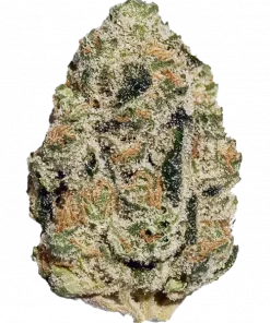 Jenny Kush, tatlı narenciye aroması ve dengeli yapısıyla öne çıkan 50/50 hibrit türdür. Enerji verici etkileriyle bilinen bu türü keşfedin.