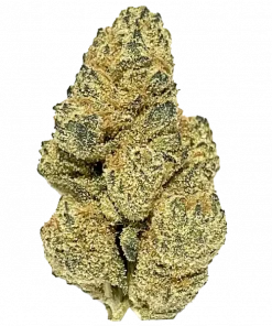 Jiffy Cake, kimyasal limon aroması ve vanilya notalarıyla öne çıkan güçlü bir Indica türüdür. Yüksek THC içeriğiyle rahatlatıcı etkilerini keşfedin.