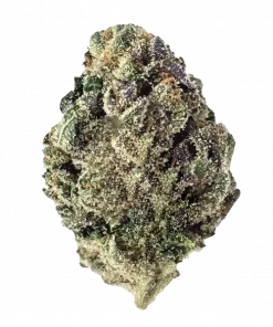 Jokerz, kremsi aroması ve yüksek THC içeriğiyle öne çıkan Indica dominant bir türdür. Jet Fuel ve White Runtz genetiğini keşfedin ve etkilerini görüntüleyin.