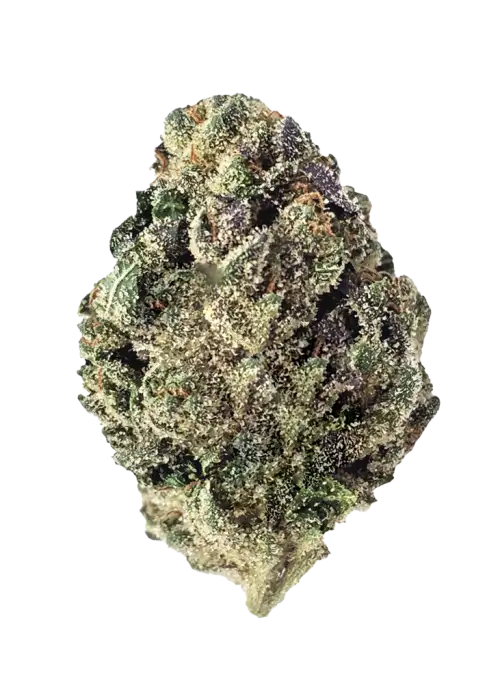 Jokerz, kremsi aroması ve yüksek THC içeriğiyle öne çıkan Indica dominant bir türdür. Jet Fuel ve White Runtz genetiğini keşfedin ve etkilerini görüntüleyin.