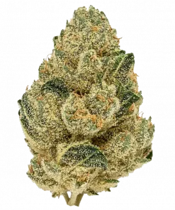 Josh Key OG, tatlı narenciye aroması ve yüksek THC içeriğiyle bilinen Indica dominant bir türdür. Stres ve ağrı için potansiyel faydalarını keşfedin.