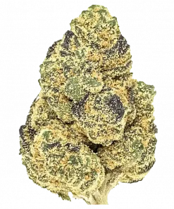 Jager (Jagermeister), toprak ve meyan kökü aromalı, Indica baskın bir türdür. Yüksek THC içeriğiyle rahatlama sağlar. Bu eşsiz türü keşfedin.