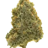 Juggernaut, şekerli aroması ve yüksek THC içeriğiyle öne çıkan baskın bir Indica türüdür. Yoğun etkilerini ve genetik yapısını keşfedin.