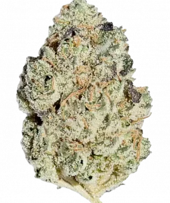 Jungle Cake, tatlı ve yakıtımsı aromasıyla öne çıkan dengeli bir hibrit türdür. 'e varan THC içeriğiyle eşsiz bir deneyim sunar. Özelliklerini keşfedin.