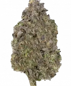 Jungle Juice, yakıtımsı ve şekerli aromaları ile öne çıkan hibrit bir türdür. Yüksek THC içeriğiyle yaratıcılığı artırır ve rahatlama sağlar. Etkilerini keşfedin.