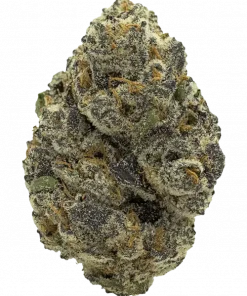 Jungle Pie, vanilya aromaları ve rahatlatıcı etkisiyle bilinen dengeli bir melezdir. Hem iç hem de dış mekan yetiştiriciliği için uygundur. Özelliklerini keşfedin.