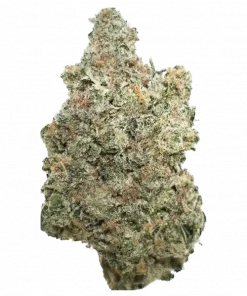 Kalashnikova, toprak ve tatlı notalarıyla rahatlatıcı bir Indica türüdür. Yüksek verimiyle öne çıkar. Bu eşsiz türün genetik yapısını keşfedin ve özelliklerini görüntüleyin.