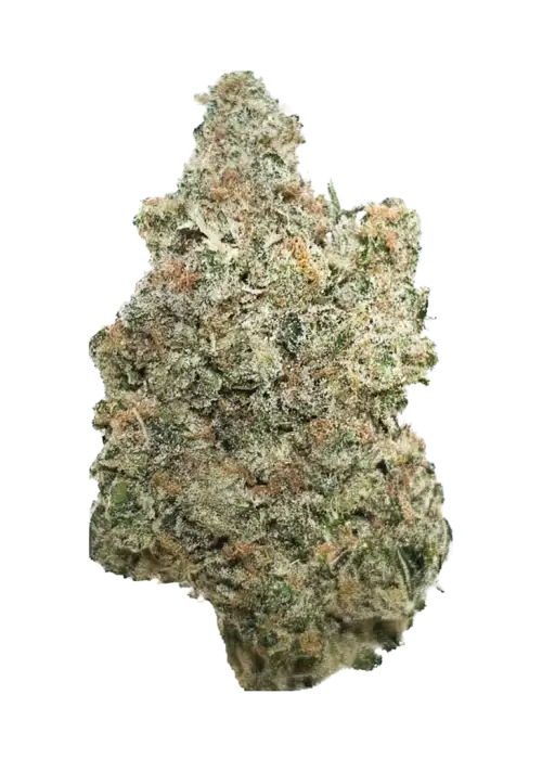 Kalashnikova, toprak ve tatlı notalarıyla rahatlatıcı bir Indica türüdür. Yüksek verimiyle öne çıkar. Bu eşsiz türün genetik yapısını keşfedin ve özelliklerini görüntüleyin.