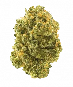 Kaleidoscope, yaban mersini aromalı ve rahatlatıcı etkili Indica baskın bir türdür. Ağrı ve uykusuzluğa iyi gelir. Bu eşsiz türü keşfedin.