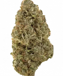 Kali Dog, yakıtımsı ve narenciye aromalarıyla öne çıkan Sativa baskın bir türdür. Rahatlatıcı etkileriyle bilinen bu türün genetik yapısını keşfedin.