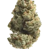 Kali Mist, baharatlı ve yakıtımsı aromasıyla öne çıkan ödüllü bir Sativa türüdür. Yüksek verimi ve psikedelik etkileriyle keşfedin.