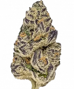 Kamikaze, yakıtımsı ve baharatlı aromasıyla öne çıkan sativa baskın bir türdür. Enerji verici etkileriyle bilinir. Genetik yapısını ve potansiyelini keşfedin.