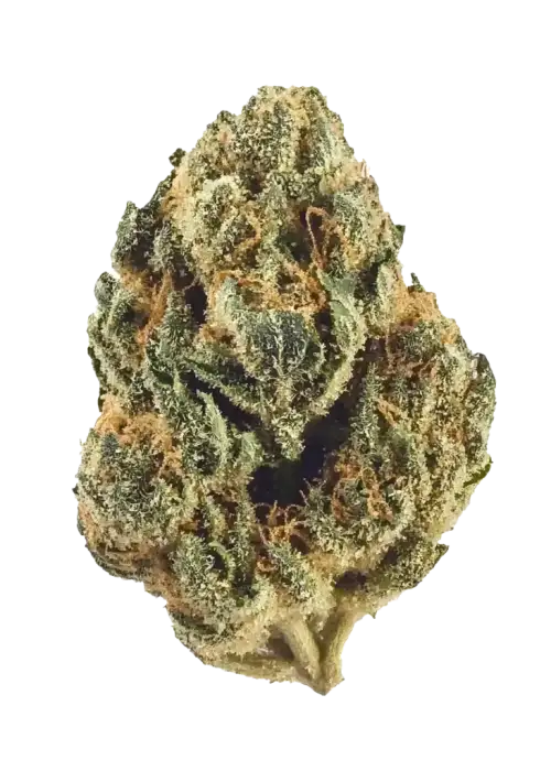 Kandy Kush, tatlı limon aromaları ve rahatlatıcı etkisiyle bilinen dengeli bir hibrit türdür. OG Kush genetiğini keşfedin ve potansiyel faydalarını görüntüleyin.