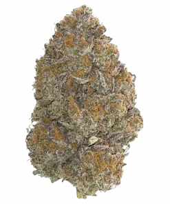 Kawaii, ananas ve kavun aromalarıyla öne çıkan Indica baskın bir türdür. Yaratıcılığı tetikleyen bu eşsiz türün genetik yapısını keşfedin ve etkilerini görüntüleyin.