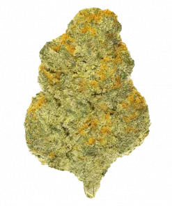 KC 33, limon aromalı ve yüksek sativa etkili bir türdür. Ağrı ve stresi azaltmaya yardımcı olur. Bu eşsiz türün özelliklerini keşfedin.