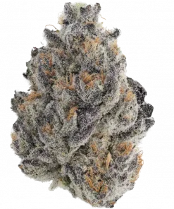 Kerosene Krash, sert yakıtımsı aroması ve yüksek THC içeriğiyle bilinen Indica dominant bir türdür. Derin rahatlama ve mutluluk için genetik yapısını keşfedin.