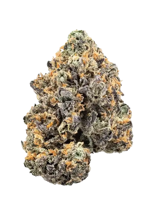 Key Lime Jack, sert yakıtımsı aroması ve yüksek THC içeriğiyle öne çıkan dengeli bir hibrit türdür. Bu eşsiz türün genetik yapısını ve etkilerini keşfedin.