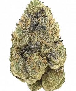 Key Lime Pie, yakıtımsı aroması ve THC oranıyla öne çıkan indica baskın bir türdür. Rahatlatıcı etkilerini ve lezzetini keşfedin.