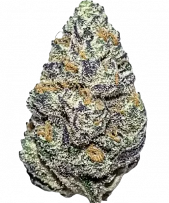 Khalifa Mints, yakıtımsı ve narenciye aromalarıyla öne çıkan güçlü bir Indica türüdür. Yüksek THC içeriğiyle dikkat çeker. Genetik yapısını keşfedin.