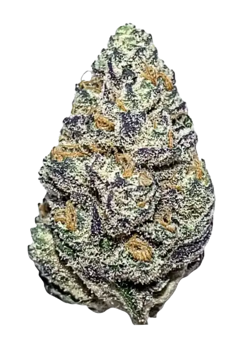 Khalifa Mints, yakıtımsı ve narenciye aromalarıyla öne çıkan güçlü bir Indica türüdür. Yüksek THC içeriğiyle dikkat çeker. Genetik yapısını keşfedin.