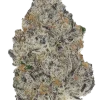 King Kush Breath V2, yakıtımsı ve kremsi aromasıyla öne çıkan Indica dominant bir türdür. Rahatlatıcı etkileriyle bilinen bu özel türü keşfedin.