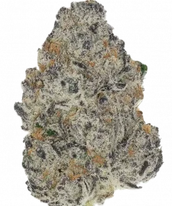 King Kush Breath V2, yakıtımsı ve kremsi aromasıyla öne çıkan Indica dominant bir türdür. Rahatlatıcı etkileriyle bilinen bu özel türü keşfedin.
