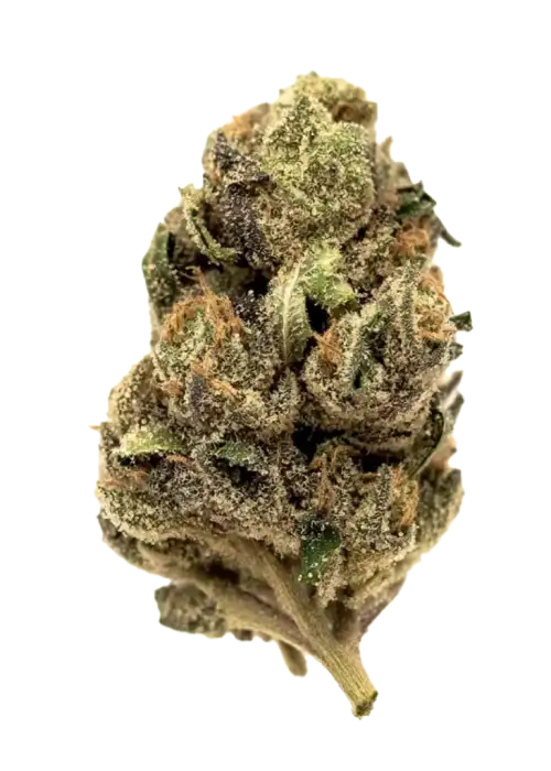 King Louis, sert aroması ve yüksek THC içeriğiyle bilinen Indica baskın bir türdür. OG Kush genetiğiyle rahatlatıcı etkilerini keşfedin ve hemen görüntüleyin.