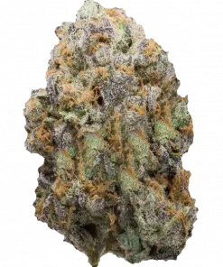 Kings Banner, tatlı ve topraksı aromaları ile öne çıkan indica baskın bir türdür. Yüksek THC içeriği sayesinde güçlü etkilere sahiptir. Özelliklerini keşfedin.