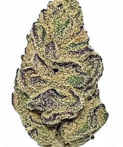 King's OG, yakıtımsı ve toprak notalarıyla öne çıkan Indica baskın bir türdür. Dengeli etkileriyle dikkat çeken bu türün genetik yapısını keşfedin.