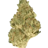 Kmac, yakıtımsı ve nane aromalı, yüksek THC'li dengeli bir hibrit türdür. Depresyon ve uykusuzluğa iyi gelir. Etkilerini keşfetmek için hemen görüntüleyin.