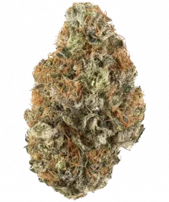 Kong’s Krush, yakıtımsı ve muz aromalarıyla öne çıkan Indica baskın bir türdür. Yüksek THC içeriğiyle derin rahatlama sağlar. Genetik yapısını keşfedin.