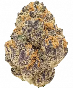 Kool Whip, vanilya aroması ve enerji verici etkileriyle bilinen Indica dominant bir türdür. Yüksek THC içeriğiyle dikkat çeker. Genetik yapısını keşfedin.