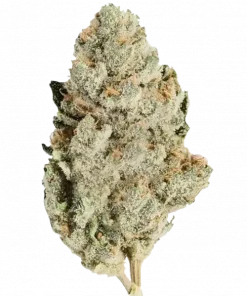 Kosher Kush, toprak kokusu ve yüksek THC içeriğiyle bilinen güçlü bir Indica türüdür. Rahatlatıcı etkileriyle öne çıkar. Bu eşsiz türü keşfedin.