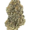 Kroma, tatlı şeker aromaları ve rahatlatıcı etkisiyle bilinen Indica baskın bir türdür. Yüksek verimli ve reçineli yapısıyla öne çıkar. Özelliklerini keşfedin.
