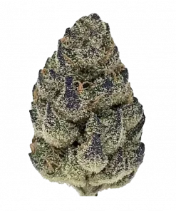 Kryptochronic, çilek aroması ve dengeli genetiğiyle öne çıkan bir hibrit türdür. Canlandırıcı etkileri ve kullanım alanlarını keşfedin. Hemen görüntüleyin.