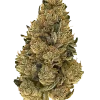 Kryptonite, toprak kokusu ve rahatlatıcı etkisiyle öne çıkan indica dominant bir türdür. Anksiyete ve uykusuzluğa iyi gelir. Genetik yapısını keşfedin.