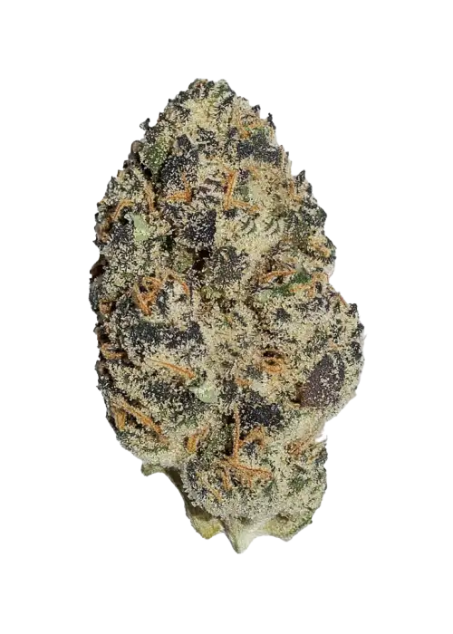 Kush Cake, yakıtımsı ve limon aromalı notalarıyla öne çıkan Indica baskın bir türdür. Yüksek THC içeriğiyle rahatlatıcı etkilerini keşfedin.