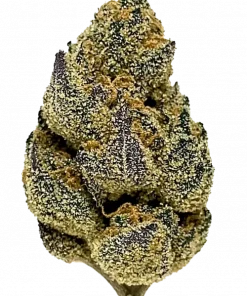 Kush Crasher, yakıtımsı ve toprak aromalarıyla öne çıkan güçlü bir Indica türüdür. THC ile yoğun etkilere sahiptir. Genetik yapısını keşfedin.