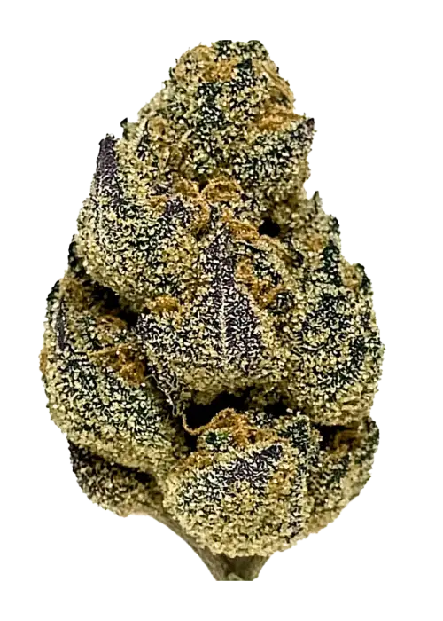 Kush Crasher, yakıtımsı ve toprak aromalarıyla öne çıkan güçlü bir Indica türüdür. THC ile yoğun etkilere sahiptir. Genetik yapısını keşfedin.