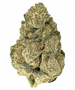 Kush Cream, limon ve nane aromaları ile öne çıkan dengeli bir hibrit türdür. Yüksek THC içeriği sayesinde eşsiz bir deneyim sunar. Hemen keşfedin.