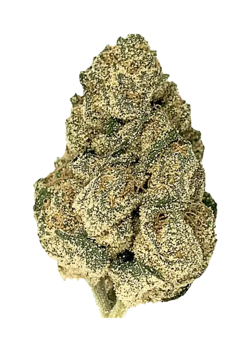 Kush Cream, limon ve nane aromaları ile öne çıkan dengeli bir hibrit türdür. Yüksek THC içeriği sayesinde eşsiz bir deneyim sunar. Hemen keşfedin.