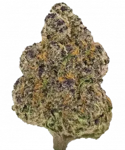 Kush Mints, naneli aroması ve dengeli yapısıyla öne çıkan hibrit bir türdür. Yorgunluk ve uykusuzluğa iyi gelir. Etkilerini keşfetmek için hemen görüntüleyin.