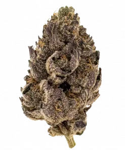 Kush Sorbet, keskin nane aroması ve THC oranıyla öne çıkan Indica ağırlıklı bir türdür. Yaratıcılığı artıran bu hibriti keşfedin.