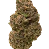 Kushberry (Berry Kush), tatlı orman meyveleri aroması ve THC ile güçlü bir Indica türüdür. Uykusuzluk ve stresi hafifletmek için ideal. Özelliklerini keşfedin.