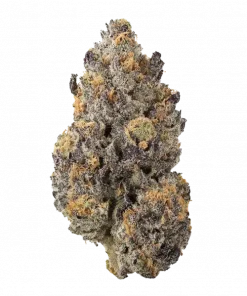 L.I.I.T., yakıtımsı ve limon aromalı, THC'li Indica dominant bir türdür. Rahatlatıcı ve keyif verici etkileri keşfetmek için hemen görüntüleyin.