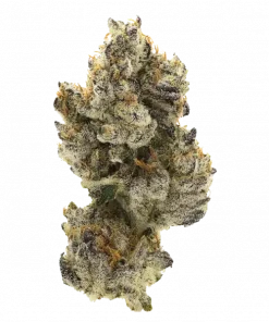 LA Chocolat, odun ve kahve aromalı, yüksek THC'li Indica baskın bir türdür. Gastrointestinal sorunlara iyi gelir. Genetik yapısını keşfedin.