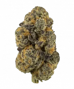 LA Crusher, tatlı meyve aromaları ve yüksek THC içeriğiyle bilinen Indica baskın bir türdür. Derin rahatlama ve sedasyon sunar. Genetik yapısını keşfedin.