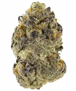 La Jefa, vanilya aromaları ve yüksek THC içeriğiyle bilinen Indica dominant bir türdür. Sakinleştirici etkileri ve genetik yapısını keşfedin.