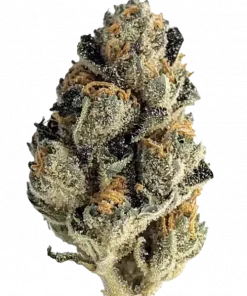 LA Kush Cake, kremsi vanilya ve yakıtımsı notalarıyla bilinen dengeli bir hibrit türüdür. Rahatlatıcı etkileriyle öne çıkar. Bu eşsiz türü keşfedin.